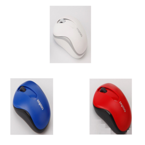 RAPOO WIRELESS MOUSE M10PLUS